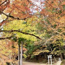 大呂神社前の小道