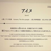 新しい国立博物館であるから期待をしていたが