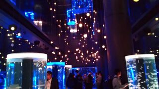 音と光と映像の水族館