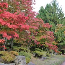 遊歩道の紅葉