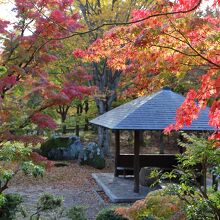 東屋と紅葉