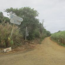 大池展望台