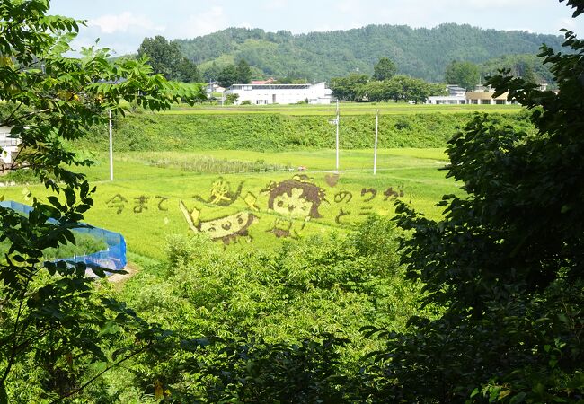 田んぼアートでほんわか気分♪