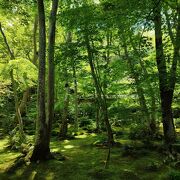 深緑の季節も素晴らしい