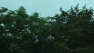 鳥海ブルーライン