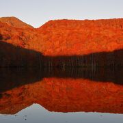 紅葉の蔦沼の朝焼け以外にも見所あり