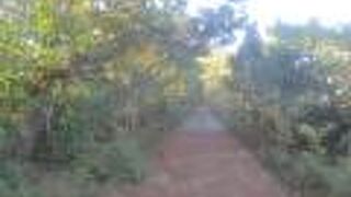 西側のエリアにありました