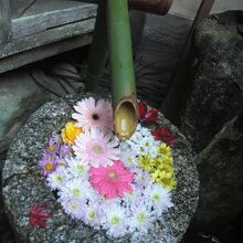 花手水が可愛い