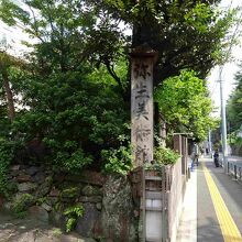 根津駅方向、坂です。登ってくるのはしんどい。