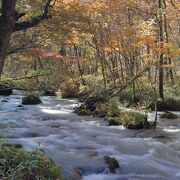 秋の紅葉も期待通り見事でした