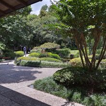 どうです?この庭園、日本にいるみたいな風景でしょ?