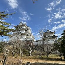 高石垣近くから見た二連の天守