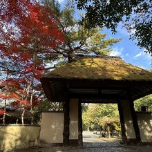 上野公園