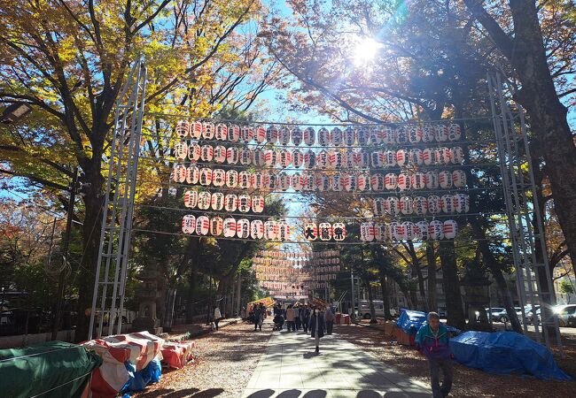 大鷲神社例祭の提灯が沢山でした