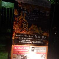 金沢城 兼六園ライトアップ【秋の段】