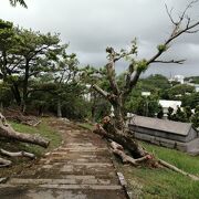 コザの高台にある公園