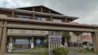 とにかく巨大…