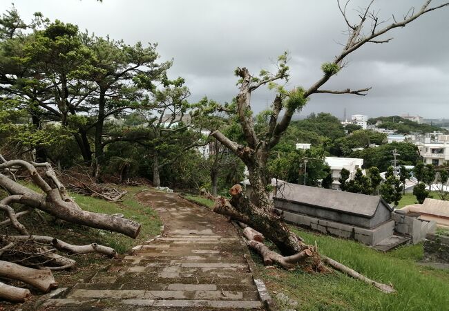 センター公園