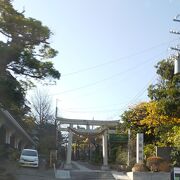 小動神社があります。