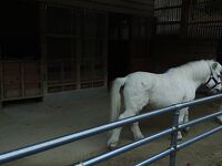 高岡古城公園動物園