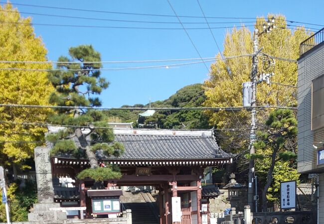 山門と紅葉