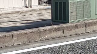 分電盤の外側にも