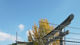 イチョウがきれい