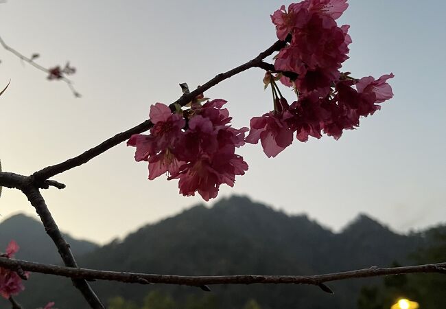 陽明山公園