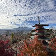 紅葉の季節に、また行きました