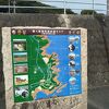 日向灘沿いの海浜公園
