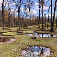 紅葉もギリギリ見れました
