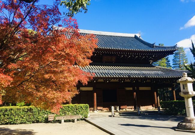 見どころが多い承天寺