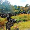 小涌谷駅から登山　浅間山に登ってみた