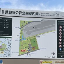 武蔵野の森公園