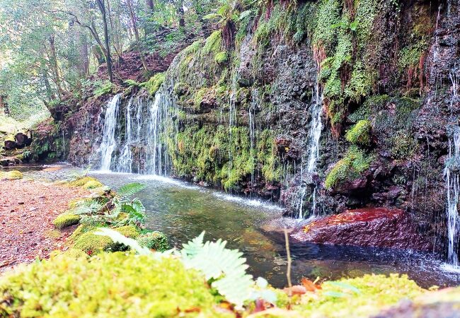 白糸のように流れ落ちる千条の滝