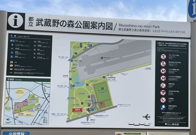 武蔵野の森公園