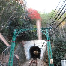 車窓からは「紅葉」も