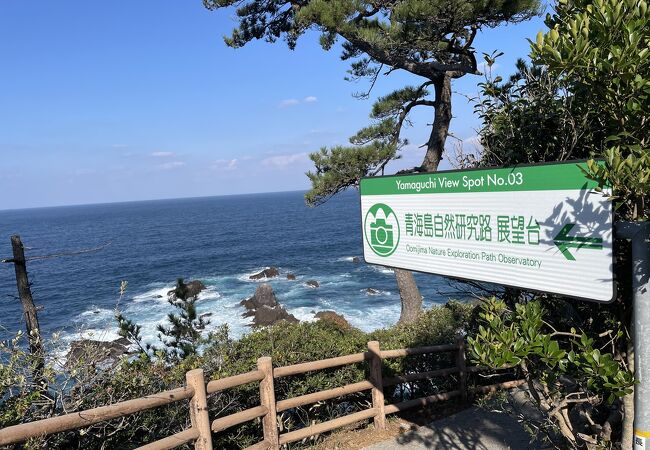 海が荒れていて、いい感じ