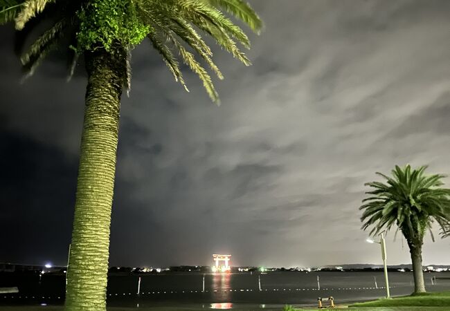 海水浴ができる海岸