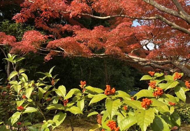 万博記念公園 日本庭園