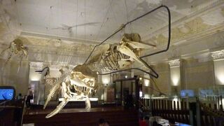 国立台湾博物館のチケットを見せると入場できます。