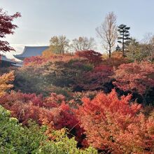 洗玉澗から見た紅葉と伽藍