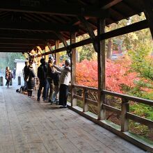 早朝の臥雲橋。日中はここも人の波になる