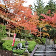 本堂へ向かう参道の石段