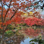 紅葉が見頃