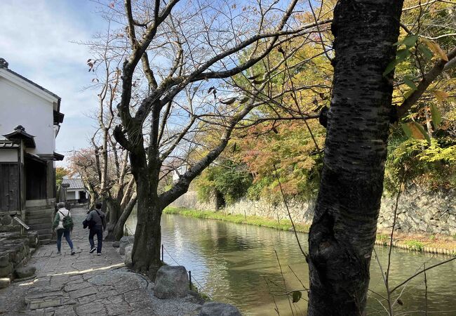 八幡堀石畳の小路