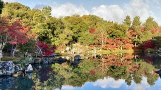 朝日に映えて美しい曹源池庭園の早朝拝観はお値打ち