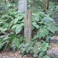 東勝寺跡 腹切りやぐら