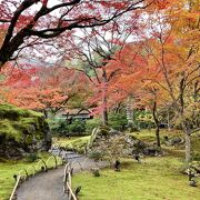 紅葉が美しい回遊式庭園