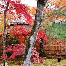 出口付近の紅葉もきれい